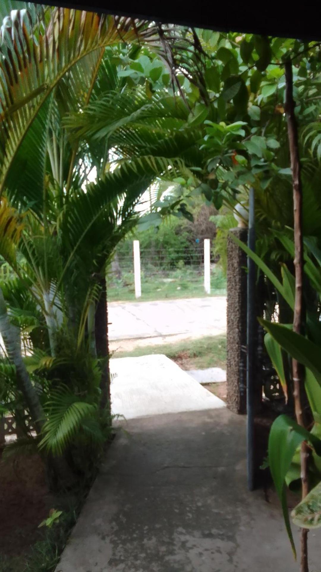 Ferienwohnung Pranu House Nilaveli Exterior foto
