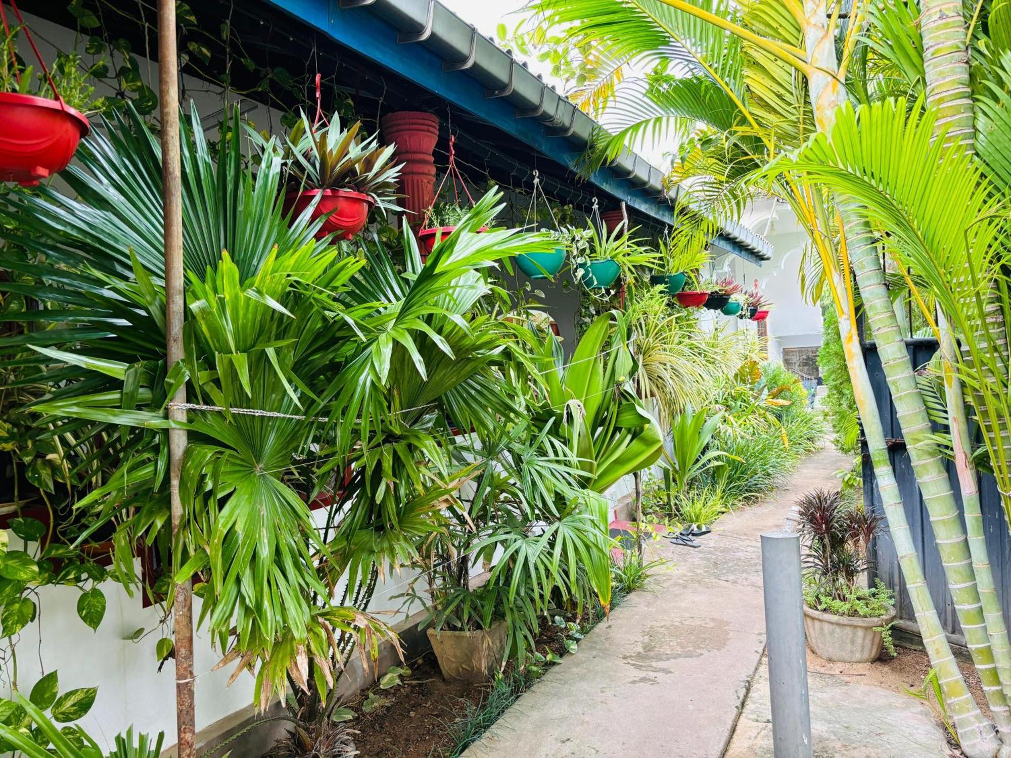 Ferienwohnung Pranu House Nilaveli Exterior foto